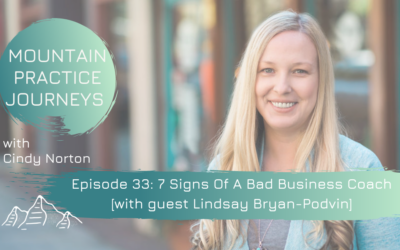 Episode 33: 7 Signs Of A Bad Business Coach with guest Lindsay Bryan-Podvin