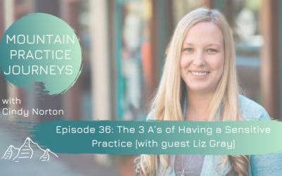 Episode 36: The 3 A’s Of Having A Sensitive Practice with guest Liz Gray